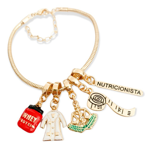 Imagem 8 de 8 de Pulseira Nutricionista Profissões Berloques Pandora Rt_1032