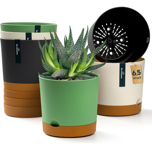 Paquete De 6 Macetas De Flores Y Plantas Bevgems De 6.5 PuLG