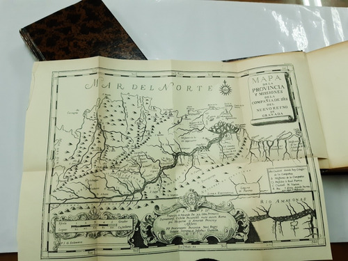 Imagen 3 de 4 de Gumilla Orinoco Ilustrado