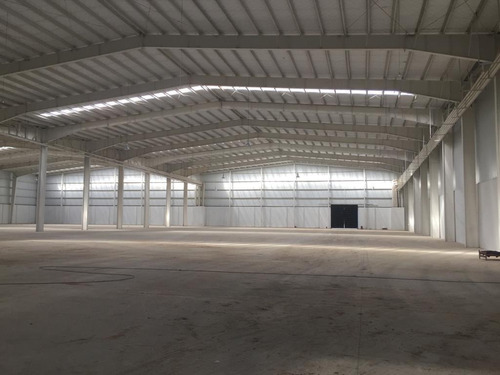 Imagen 17 de 21 de Fracción Industrial 36 Ha. Galpón 14.000 M² Cub. - Carlos Spegazzini