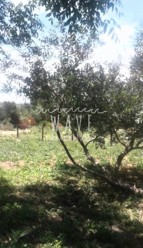 Imagen 2 de 6 de Venta De Terreno De 500 M2 En Zona Alta Del Chorro