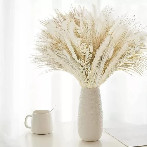 100 Semillas De Pampa Grass Pasto Color Blanco