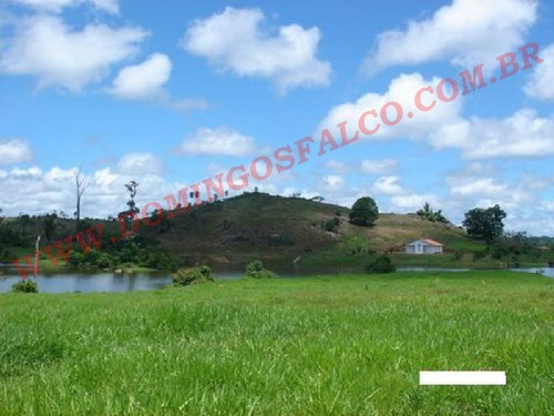 Imagem 4 de 22 de Venda - Fazenda - Zona Rural - Rondolândia - Mt - D0097