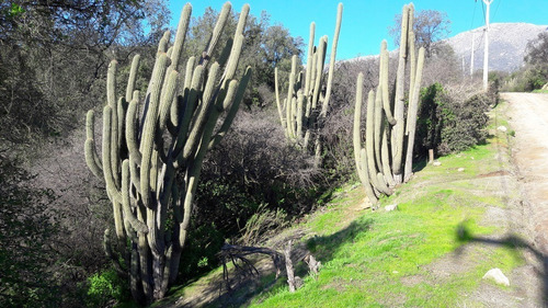 Reserva Oasis De La Campana, Ocoa