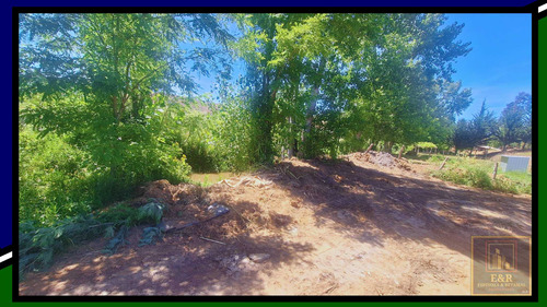 Terreno En Curali,santa Juana , Con Estero (99143)