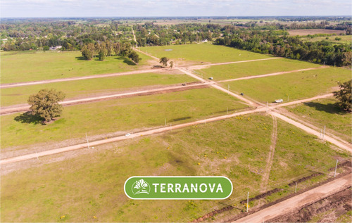 Imagen 4 de 14 de Venta Terreno Lote Financiado Parada Robles Pilar Zona Norte