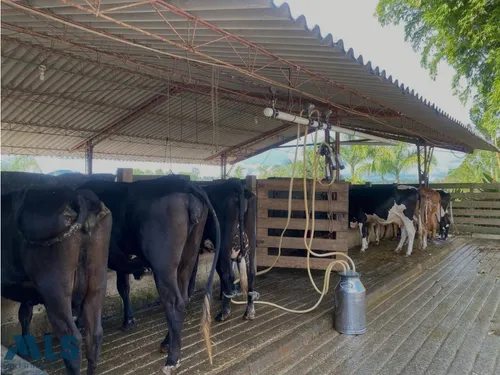 Finca Para Caballistas(mls#249601)