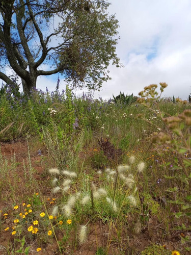Venta Terreno Campestre Amealco Queretaro