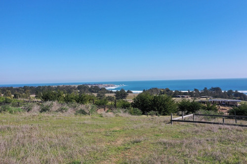 Vista Horizonte Punta De Lobos