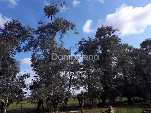 Imagen 6 de 7 de Terreno Campo En Venta Ubicado En General Rodríguez, G.b.a. Zona Oeste