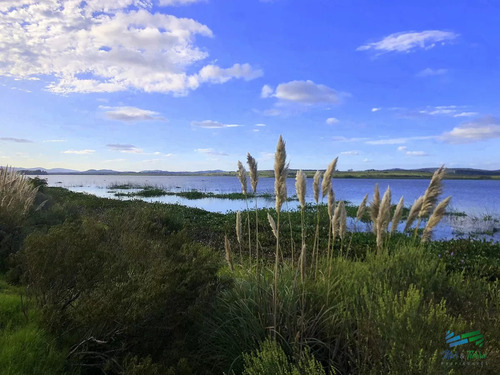 Terreno De Mas De 5000 M2 Con Costa De Laguna En Laguna De Los Cisnes