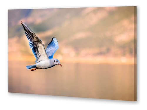 Cuadro 20x30cm Aves Hermosa Volando En El Atardecer Mar