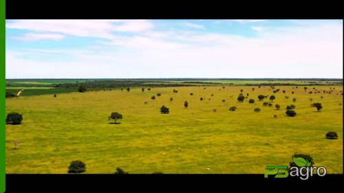 Imagem 3 de 19 de Fazenda À Venda, 108300000 M² Por R$ 180.000.000 - Centro - Canarana/mt - Fa0300