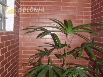 Imagem 6 de 18 de Casa - Ref: 29171