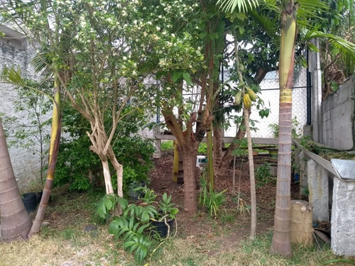 Imagem 26 de 28 de Sobrado Com 3 Dormitórios À Venda, 209 M² Por R$ 510.000 - Vila Luzita - Santo André/sp - So1623