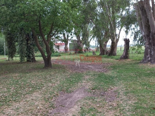 Imagen 28 de 30 de Venta De Campo De 21 Has Entre Jeppener Y Ranchos