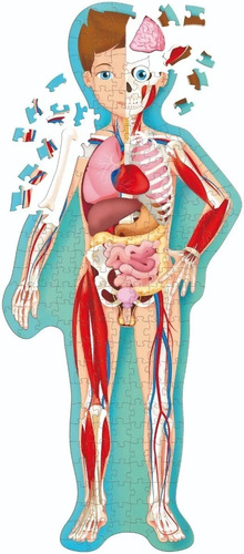 Puzzle 200 Piezas Con Libro El Cuerpo Humano Edu Full