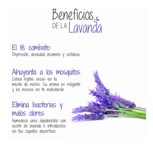 Flor Lavanda Seca 100grs (aromática)