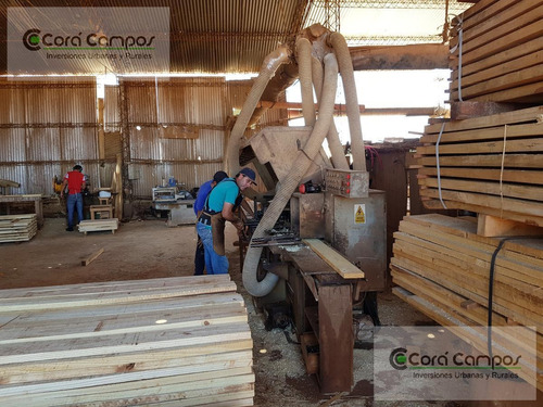 Imagen 6 de 9 de Se Vende Aserradero Funcionando. En Apósteles. Misiones