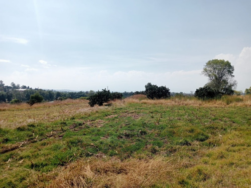 Terreno En Venta En Tlaxcala De Xicohténcatl Tlaxcala