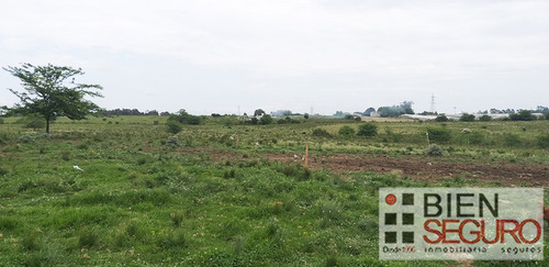 Chacra De 36,2440 Hás, Monte Nativo En Venta En Toledo Chico