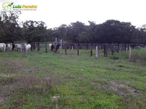 Imagem 2 de 15 de Fazenda Á Venda Em Recursolândia - Ms - 1.132 Hectares (pecuária) - 2188