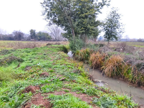 Venta Parcela 2 Hectáreas 1/4 A Orilla De Camino (177213)