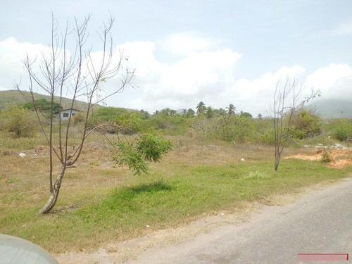 Terreno En El Cardon Ic-00002