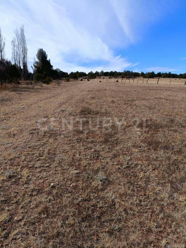 Imagen 5 de 24 de Rancho En Venta Cd. Guerrero, Chihuahua.