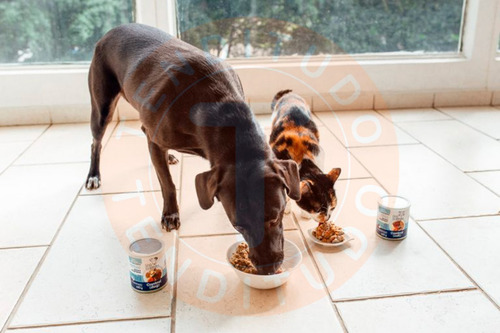 Imagem 3 de 5 de Ração Úmida Natural Pet Delícia Picadinho Carne Gatos 320g