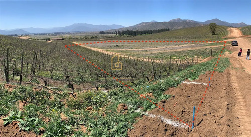 Parcela 5000 Mt2, Parcelacion Atalaya, Casablanca