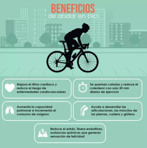 Bicicleta Dama Spro - Aluminio - Rodado 28 - Accesorios Blanco M (Usado)