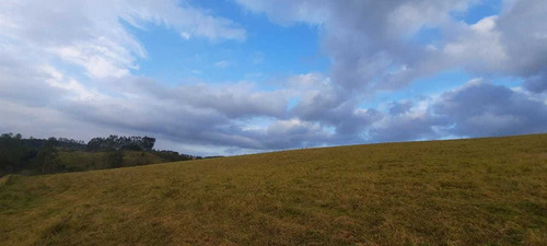 Imagem 4 de 14 de C09- Vende-se Terreno De 10 Mil Metros Em Igaratá