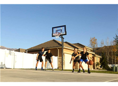 Lifetime In-ground Fusion Backboard Action Grip Sistema De