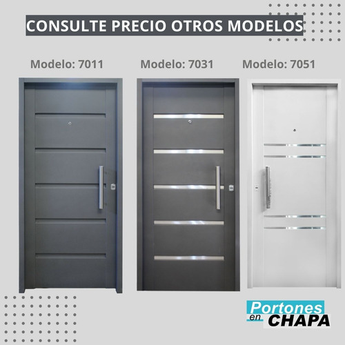 Puerta Frente Inyectada Reforzada Doble Chapa 0.80 X 200