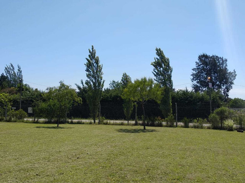 Imagen 4 de 10 de Ventalote En Francisco Alvarez Moreno 1537 M2 A 20 Mts De Colectora Sur