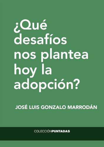 ¿qué Desafíos Nos Plantea Hoy La Adopción?