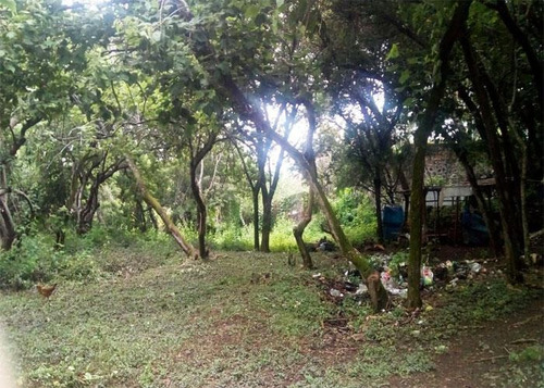 Imagen 3 de 4 de Terreno - Venta Fraccionamiento Rancho Cortes, Cuernavaca