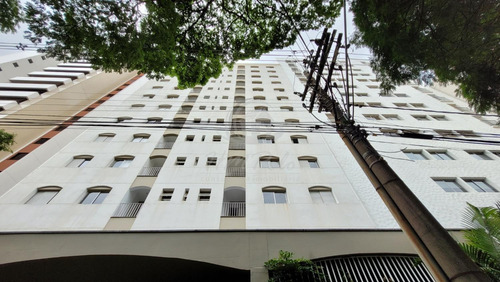 Imagem 1 de 16 de Apartamento Para Aluguel Em Vila Itapura - Ap028653