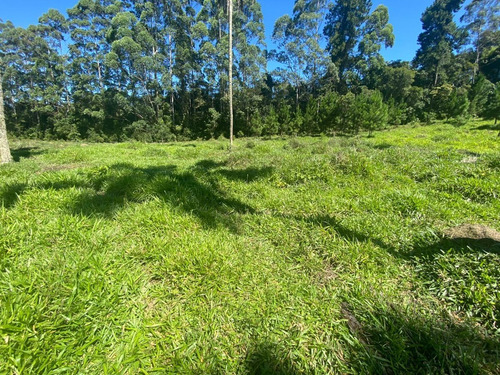 Imagem 10 de 13 de D.v01 Lindos Lotes Que Cabe No Seu Bolso