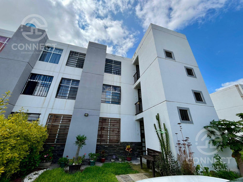 Departamento Semiamueblado En Renta, Héroes Contemporáneos, León Gto