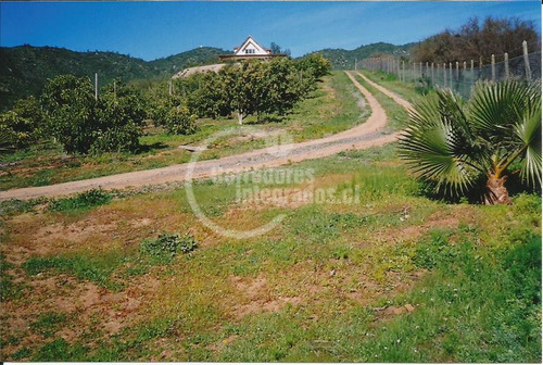 Imagen 10 de 13 de Sitio En Venta En Curacaví
