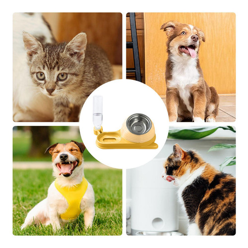 Cat Water And Food Bowl Cat Food Dishes Snail Shape 16-degre