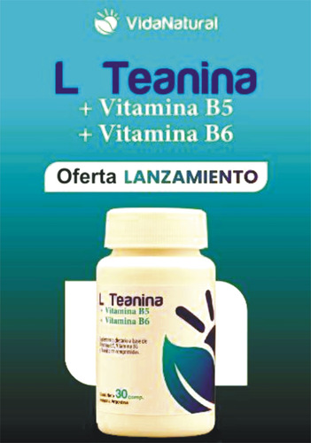 Teanina Vit B5 B6 Sueño Relajación Y Concentración-combo X 2 Sin Sabor