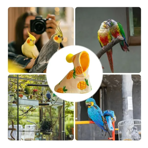  - ×TFC コラボ PASSAREDO PARROT ジャケット XL Roupa De Pássaro Quente De Inverno Terno Quente De Pássaro P