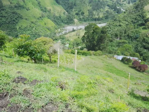 Finca Via Juntas - Ibagué