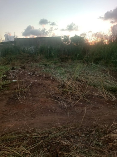 Imagem 1 de 3 de Terreno Em Stella Maris Para Aluguel, 1089m². - Te00003 - 69584579