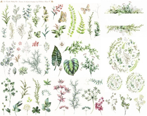 Imagen 1 de 1 de La Tiendita Shabby Chic - Lámina De Seda - Herb3