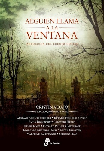 Libro Alguien Llama A La Ventana De Cristina Bajo