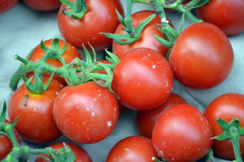 100 Semillas De Tomate Cherry - Solanum Lycopersicum C. 425